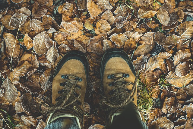 buty sportowe na jesiennych liściach
