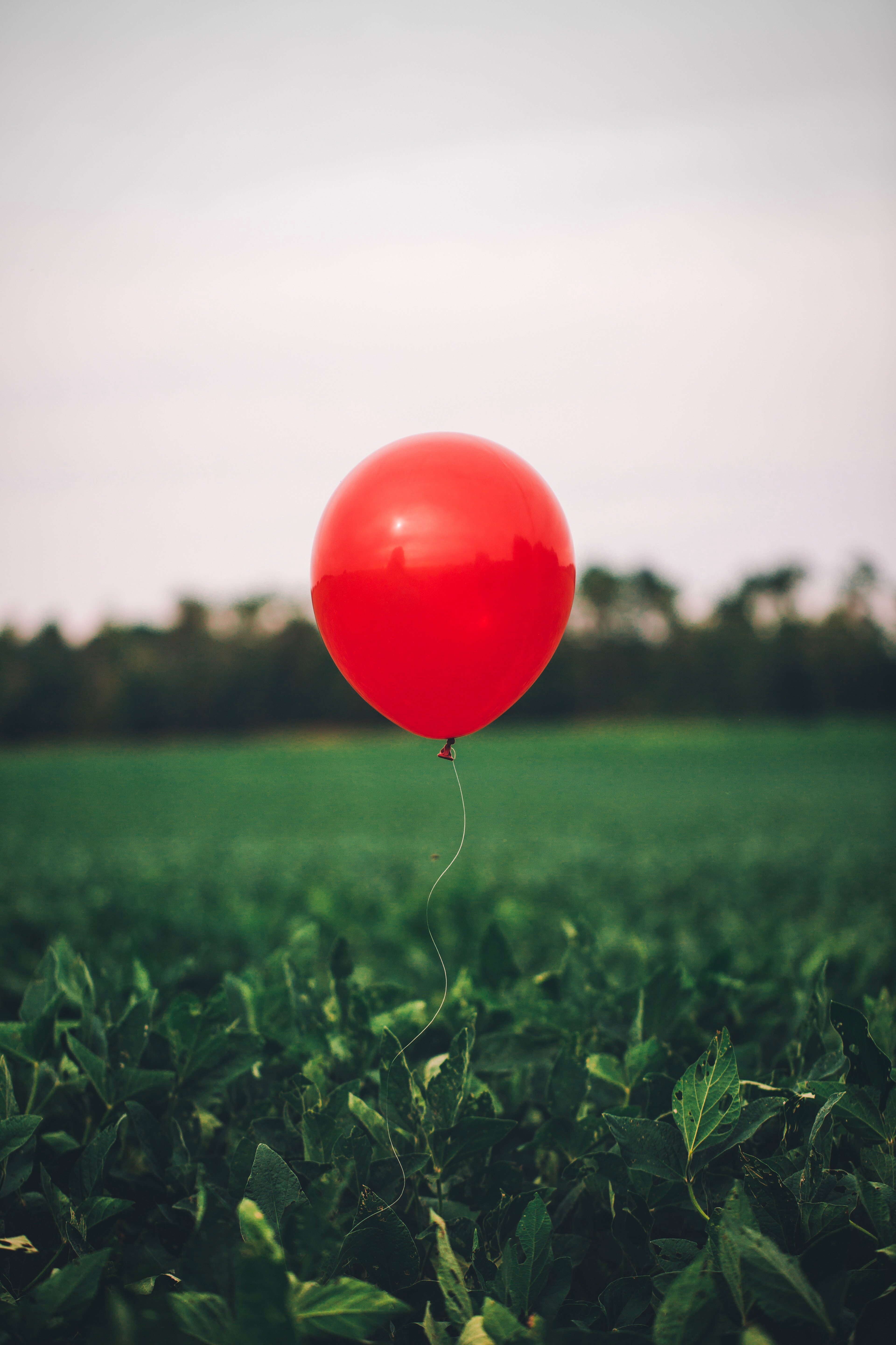 szybujący czerwony balonik