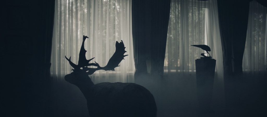 kadr z filmu "O zwierzętach i ludziach" Łukasza Czajki, wnętrze domu i widoczna sylwetka łosia na tle okna