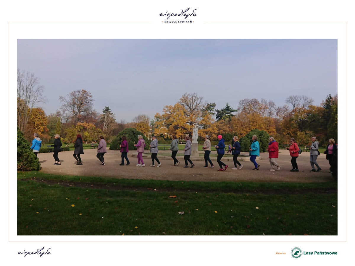 Zdjęcie przedstawia grupę uczestniczek warsztatów Slow Jogging, które biegają ścieżką w Muzeum Łazienki Królewskie. W tle widać drzewa, które mają kolorowe, jesienne liście. 